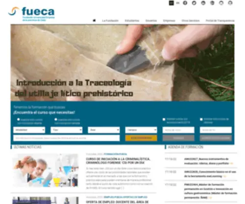 Fueca.org(Portal FUECA) Screenshot