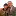 Fuegosantomi.com Favicon