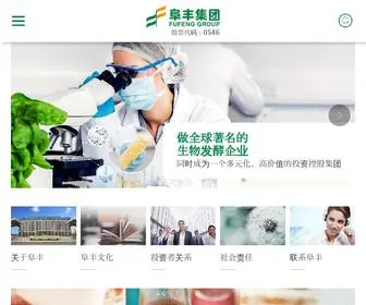 Fufeng-Group.cn(阜丰集团) Screenshot
