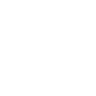 Fullerlifept.com Favicon