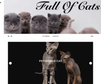 Fullofcats.com(Full of Cats) Screenshot
