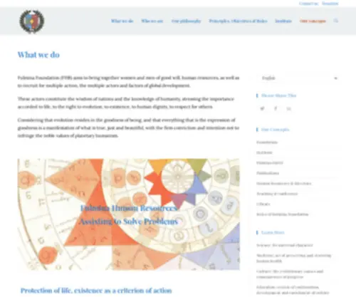 Fulmina.org(What we do) Screenshot