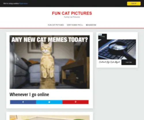 Funcatpictures.com(WordPress) Screenshot
