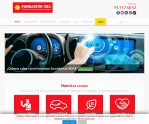 Fundacioncea.es(Fundación) Screenshot