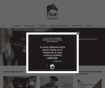 Fundaciondeliadelcarril.cl(Fundación) Screenshot