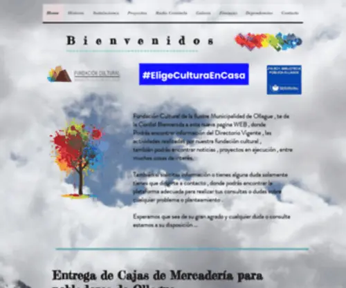 Fundacionollague.com(Home) Screenshot