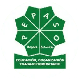 Fundacionpepaso.org Favicon