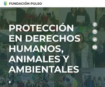 Fundacionpulso.org(FUNDACIÓN) Screenshot