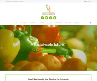 Fundacionsalomon.org(Fundación Salomón) Screenshot