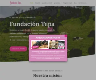 Fundaciontepa.org(Fundación TEPA) Screenshot