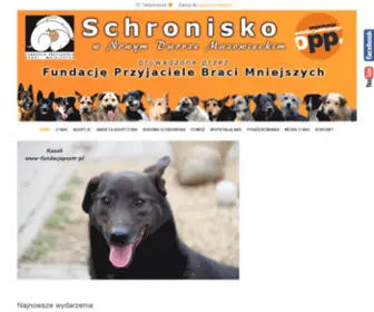 FundacJapsom.pl(Fundacja Przyjaciele Braci Mniejszych) Screenshot