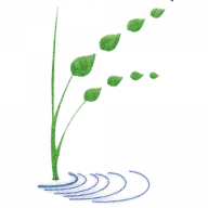 Fundmarianoospinaperez.org Favicon