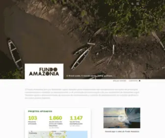 Fundoamazonia.gov.br(Fundo Amazonia) Screenshot