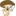 Funghi-Vitalia.it Favicon