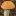 Fungi.lv Favicon