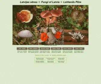 Fungi.lv(Šī ir vietne par Latvijā augošām sēnēm. Tā ietver 216 sugas un virkni tematisko sadaļu) Screenshot