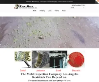 Funguyinspections.com(FunGuy Mold Inspections) Screenshot