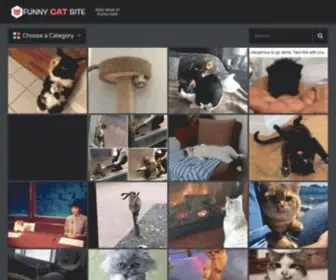 Funnycatsite.com(The best cat site on the planet) Screenshot