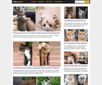Funnycatsworld.com(Funny cats content) Screenshot