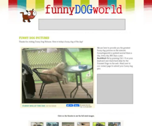 Funnydogworld.com(Daily Funny Dog Pictures from) Screenshot