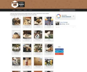 Funnypuppysite.com(Funny Puppy Pictures) Screenshot