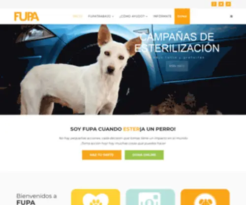 Fupa.org.mx(Inicio) Screenshot