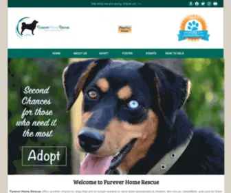 Fureverhomerescue.dog(FurEver Home Rescue Inc) Screenshot