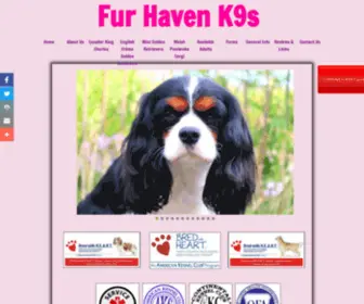 Furhavenk9S.com(Furhavenk9S) Screenshot