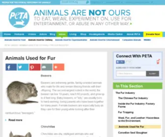 Furisdead.com(Furisdead) Screenshot