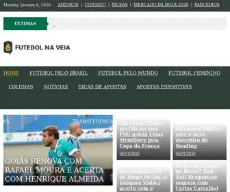 Futebolnaveia.com.br(Futebol Na Veia) Screenshot