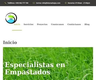 Futurashojas.com(Especialistas en Empastado y Decoraci) Screenshot