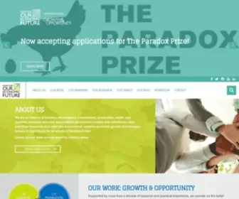 Futurefundneo.org(Fund For Our Economic Future) Screenshot