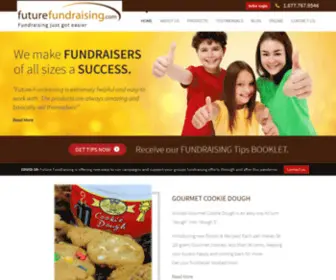 Futurefundraising.com(Future Fundraising) Screenshot