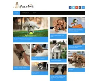 FuzzFeed.com(Your Daily Fix of Fuzzy) Screenshot