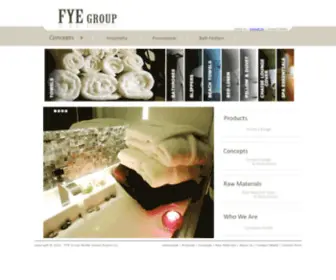 Fyegroup.com(FYE GROUP) Screenshot