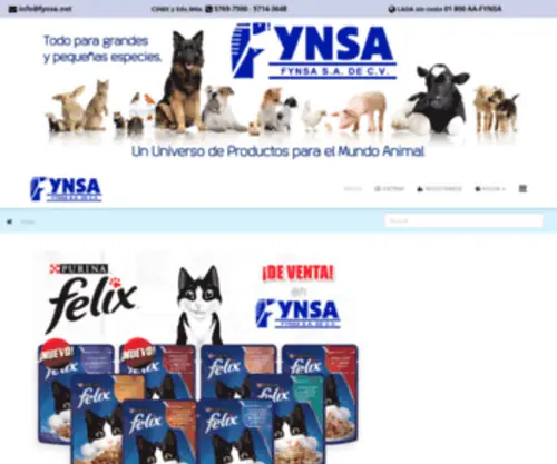 FYnsa.net(Inicio) Screenshot