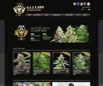G13Labs.com(G13 Labs) Screenshot