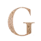 Gadisbeauty.com Favicon