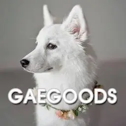 Gaegoods.com Favicon