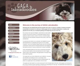 Gagalabradoodles.com(GAGA Labradoodles For Sale Registered Labradoodle Breeder Australia) Screenshot