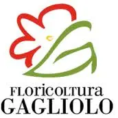 Gagliolo.it Logo