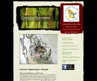 Gahummer.org(Georgia Hummer) Screenshot