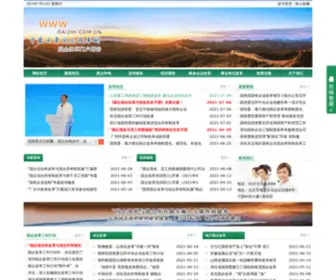 Gaizhi.com.cn(中国国资国企改革网) Screenshot