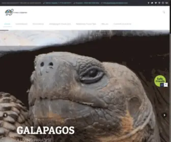 Galapagosinsiders.com(Galapagos Cruises) Screenshot