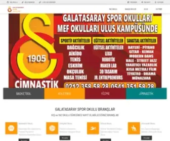 Galatasaraysporokullari.istanbul(Galatasaray Spor Okulları) Screenshot