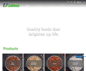 Galdisa.com.mx(Galdisa) Screenshot