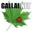 Gallai.net Logo