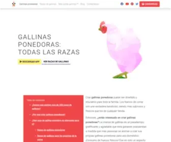 Gallinaponedora.com(Gallina ponedora: Alimentación) Screenshot