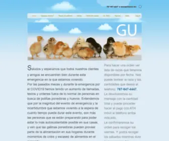 Gallinasurbanas.com(Huevos orgánicos) Screenshot