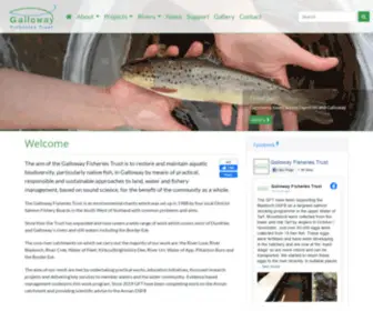 Gallowayfisheriestrust.org(The aim of the Galloway Fisheries Trust) Screenshot